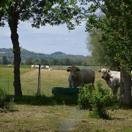 Gite A La Ferme De La Bouriette Revel  Esterno foto